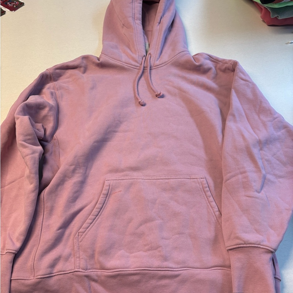Aritzia TNA Boyfriend Hoodie